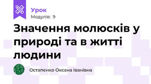 Значення молюсків у природі та в житті людини