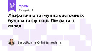 Лімфатична та імунна системи: їх будова та функції. Лімфа та її склад