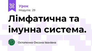Лімфатична та імунна система.