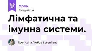 Лімфатична та імунна системи.