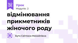 відмінювання прикметників жіночого роду