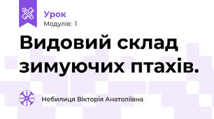 Видовий склад зимуючих птахів.