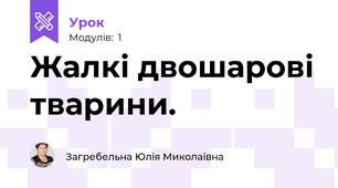 Жалкі двошарові тварини.