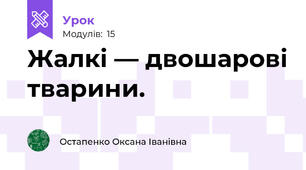 Жалкі — двошарові тварини.