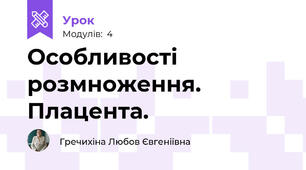 Особливості розмноження. Плацента.