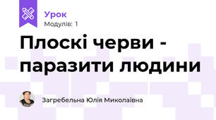 Плоскі черви - паразити людини