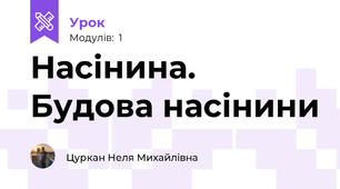 Насiнина. Будова насiнини