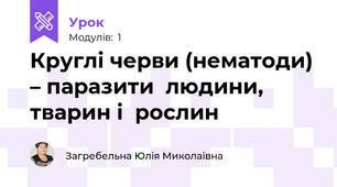 Круглі черви (нематоди) – паразити  людини, тварин і  рослин