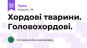 Хордові тварини. Головохордові.