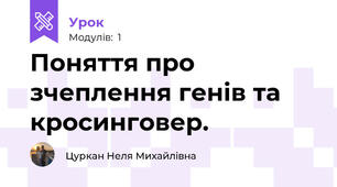 Поняття про зчеплення генiв та кросинговер.