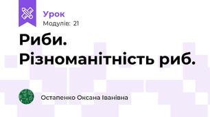 Риби. Різноманітність риб.