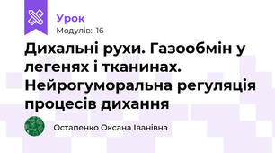  Дихальні рухи. Газообмін у легенях і тканинах.  Нейрогуморальна регуляція процесів дихання