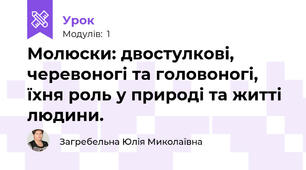 Молюски: двостулкові, черевоногі та головоногі, їхня роль у природі та житті людини.
