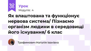 Як влаштована та функціонує нервова система/ Пізнаємо організм людини в середовищі його існування/ 6 клас