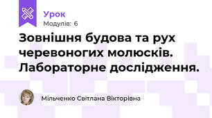 Зовнішня будова та рух черевоногих молюсків. Лабораторне дослідження.