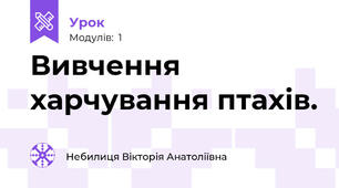 Вивчення харчування птахів.