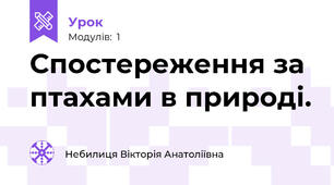 Спостереження за птахами в природі.