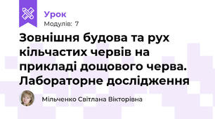 Зовнішня будова та рух кільчастих червів на прикладі дощового черва. Лабораторне дослідження