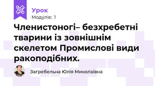 Членистоногі– безхребетні тварини із зовнішнім скелетом Промислові види ракоподібних.