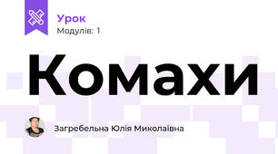 Комахи