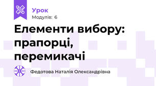 Елементи вибору: прапорці, перемикачі