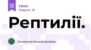 Рептилії.