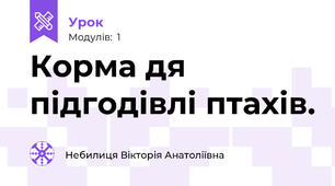Корма дя підгодівлі птахів.