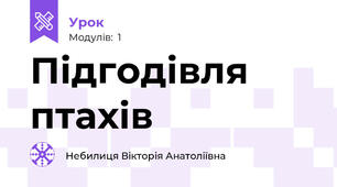 Підгодівля птахів