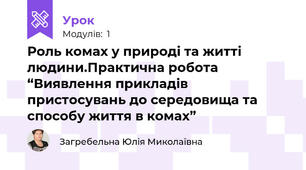 Роль комах у природі та житті людини.Практична робота “Виявлення прикладів пристосувань до середовища та способу життя в комах”