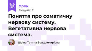 Поняття про соматичну нервову систему. Вегетативна нервова система. 
