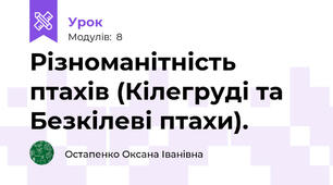 Різноманітність птахів (Кілегруді та Безкілеві птахи).