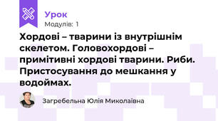 Хордові – тварини із внутрішнім скелетом. Головохордові – примітивні хордові тварини. Риби. Пристосування до мешкання у водоймах.