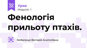 Фенологія прильоту птахів.