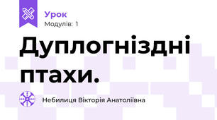 Дуплогніздні птахи.