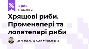 Хрящові риби. Променепері та лопатепері риби