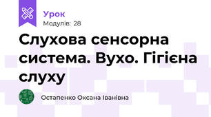 Слухова сенсорна система. Вухо. Гігієна слуху
