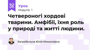Четвероногі хордові тварини. Амфібії, їхня роль у природі та житті людини.