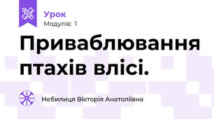 Приваблювання птахів влісі.
