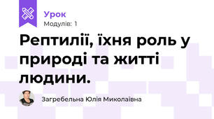 Рептилії, їхня роль у природі та житті людини.