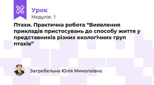 Птахи. Практична робота “Виявлення прикладів пристосувань до способу життя у представників різних екологічних груп птахів”