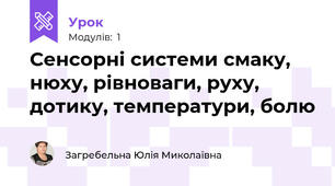 Сенсорні системи смаку, нюху, рівноваги, руху, дотику, температури, болю