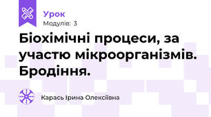 Біохімічні процеси, за участю мікроорганізмів. Бродіння.