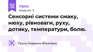 Сенсорні системи смаку, нюху, рівноваги, руху, дотику, температури, болю.