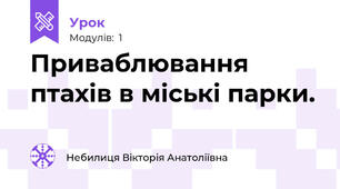 Приваблювання птахів в міські парки.