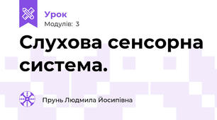 Слухова сенсорна система. 