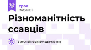 Різноманітність ссавців