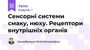 Сенсорні системи смаку, нюху. Рецептори внутрішніх органів