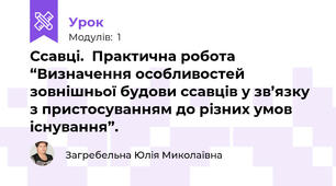 Ссавці.  Практична робота “Визначення особливостей зовнішньої будови ссавців у зв’язку з пристосуванням до різних умов існування”.