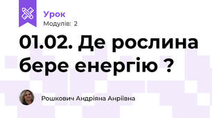 01.02. Де рослина бере енергію ?