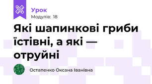 Які шапинкові гриби їстівні, а які — отруйні